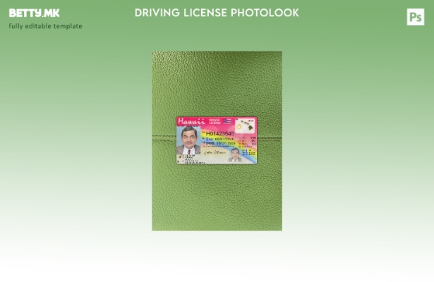 Модерен стил на САД за возачка дозвола на Хаваи, преден шаблон за фото изглед